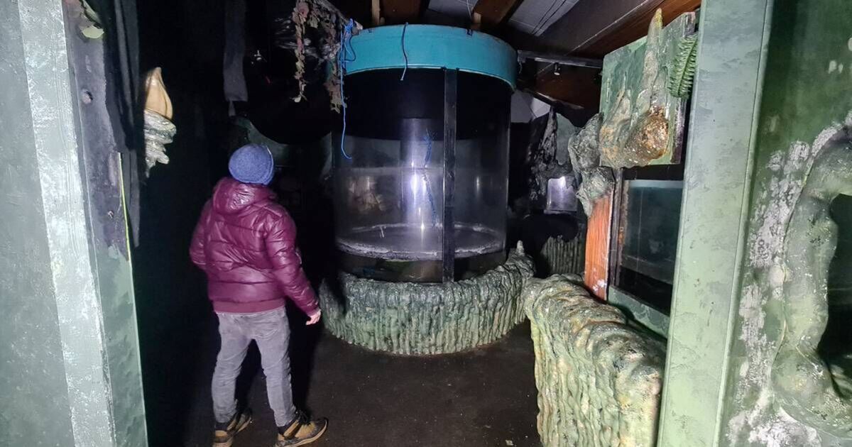 Inside eerie UK abandoned Sealife centre where water-filled tanks remain standing